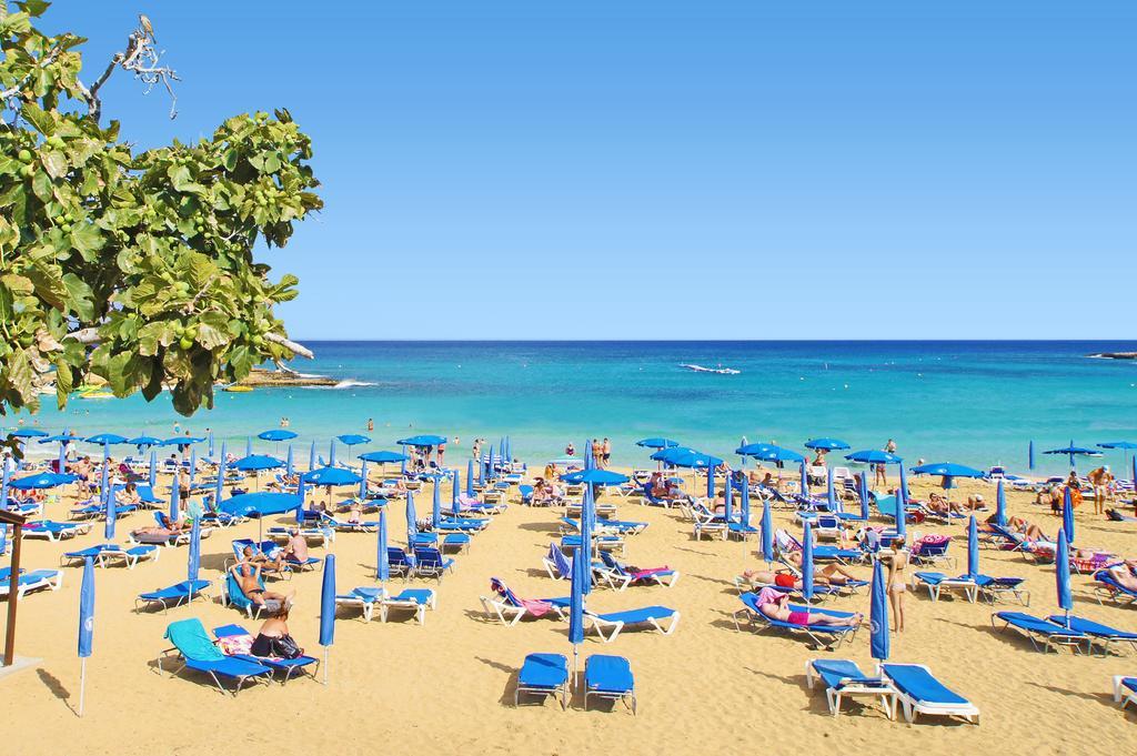 Calypso - Coralli Beachfront Apartment بروتاراس المظهر الخارجي الصورة